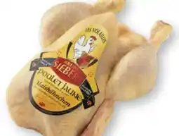 Scheck-in-Center Siebert's Hühnerhof Maishähnchen Angebot