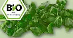 REWE Center Rewe Bio Feldsalat Angebot