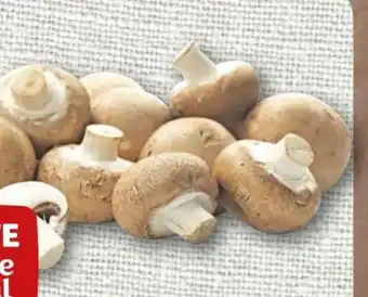 nahkauf Rewe Beste Wahl Champignons Angebot