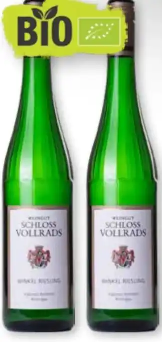 Scheck-in-Center Schloss Vollrads Riesling Kabinett Angebot