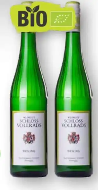 Scheck-in-Center Schloss Vollrads Riesling Angebot