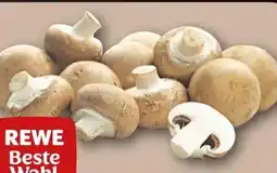 REWE Center Rewe Beste Wahl Braune Champignons Angebot