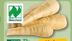REWE Rewe Bio Pastinaken Angebot