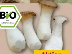 REWE Center Rewe Bio Kräuterseitlinge Angebot