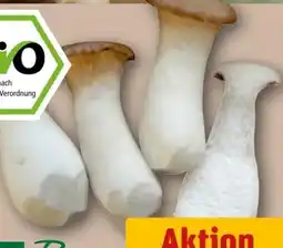 REWE Rewe Bio Kräuterseitlinge Angebot