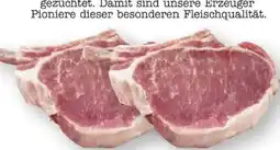 Scheck-in-Center Duroc Krone Angebot