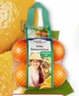 Edeka SanLucar Orangen Angebot