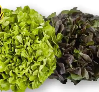 Edeka Unsere Heimat Echt & Gut Kraussalat Angebot