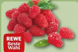 REWE Center Rewe Beste Wahl Frische Himbeeren Angebot