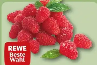 REWE Center Rewe Beste Wahl Frische Himbeeren Angebot