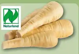 REWE Center Rewe Bio Pastinaken Angebot