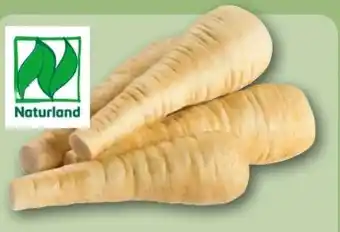 REWE Center Rewe Bio Pastinaken Angebot