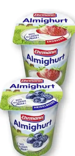 Scheck-in-Center Ehrmann Almighurt Angebot