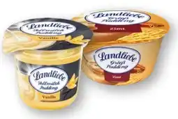 Scheck-in-Center Landliebe Vollmilchpudding Angebot