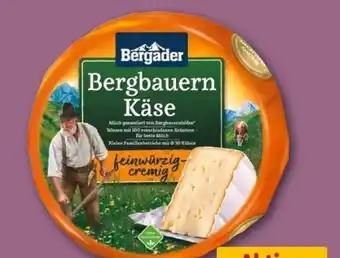 REWE Center Bergader Bergbauern Käse Angebot