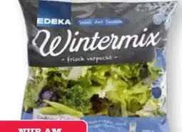Scheck-in-Center Edeka Salatmischung Wintermix Angebot