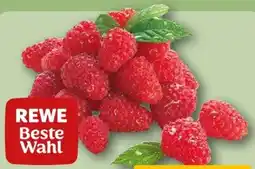 REWE Rewe Beste Wahl Frische Himbeeren Angebot