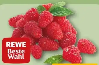 REWE Rewe Beste Wahl Frische Himbeeren Angebot
