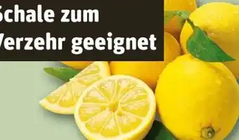 REWE Rewe Bio Zitronen Angebot