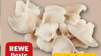 REWE Rewe Beste Wahl Austernpilze Angebot