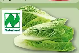 REWE Rewe Bio Romana Salatherzen Angebot