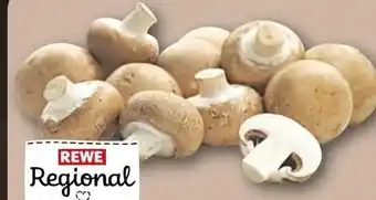 REWE Rewe Regional Braune Champignons Angebot