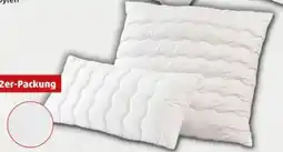 PENNY John Cotton Kopfkissen Angebot