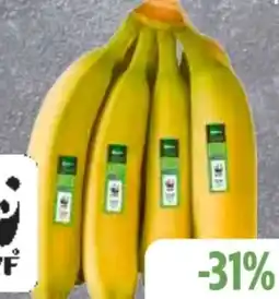 Edeka Frischemarkt Edeka Bio Bio-Bananen Angebot