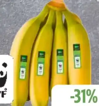 Edeka Frischemarkt Edeka Bio Bio-Bananen Angebot