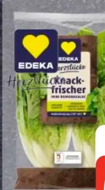 Edeka Frischemarkt Edeka Herzstücke Mini Romana Salat Angebot