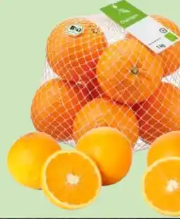 Edeka Bio-Orangen Angebot