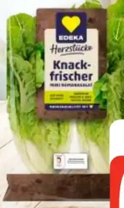 Edeka Edeka Herzstücke Mini Romana Salat Angebot