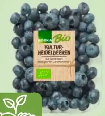 Edeka Edeka Bio Bio-Kulturheidelbeeren Angebot