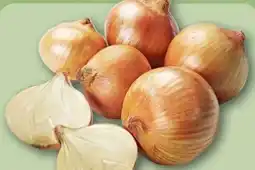 REWE Center Gemüsezwiebeln Angebot