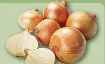 REWE Gemüsezwiebeln Angebot