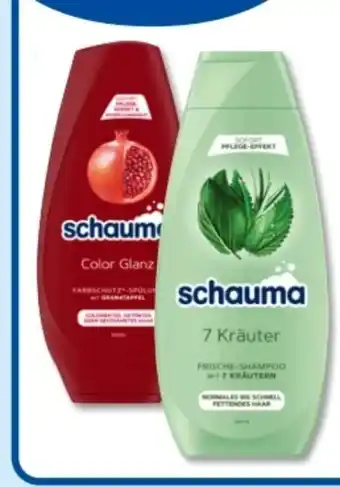 Budni Schwarzkopf Schauma Shampoo Angebot