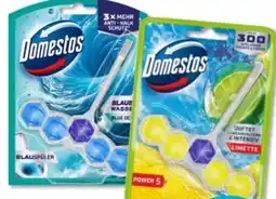 Budni Domestos WC Steine Power 5 Angebot