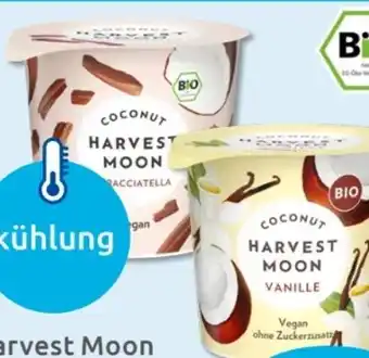 Budni Harvest Moon Bio Coconut Joghurt Natur Angebot