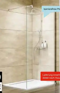 Hellweg Walk-In-Duschwand Master Class Angebot