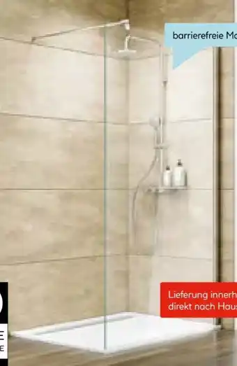 Hellweg Walk-In-Duschwand Master Class Angebot
