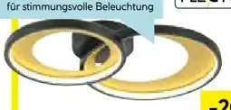 Hellweg Flector Technik LED-Deckenleuchte Rengas Angebot