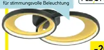 Hellweg Flector Technik LED-Deckenleuchte Rengas Angebot