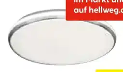 Hellweg LED Decken- und Wandleuchte Shining Frame Angebot