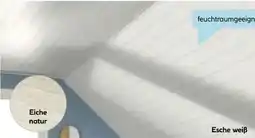 Hellweg Paneel Basic Angebot