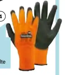 Hellweg Work Power Thermo-Handschuh Polar Grap Angebot