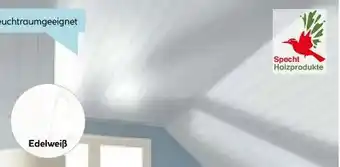 Hellweg Specht Holzprodukte Paneel Classic Angebot