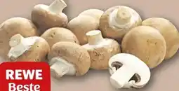 REWE Rewe Beste Wahl Braune Champignons Angebot