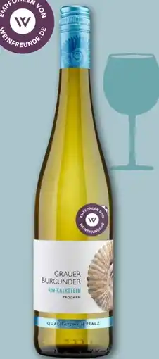 REWE Weingut Kendermanns Grauer Burgunder vom Kalkstein Angebot