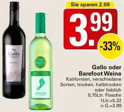 WEZ Gallo oder Barefoot Weine Angebot