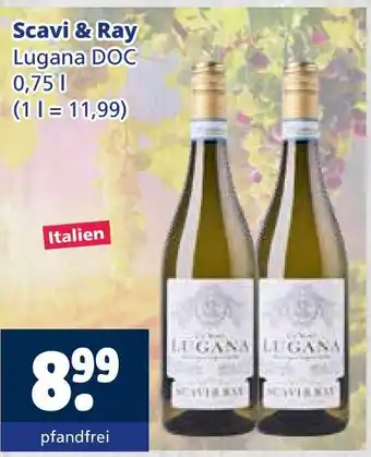 Getränkewelt Scavi & ray lugana doc Angebot
